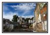 6/IMG_3929 site.jpg